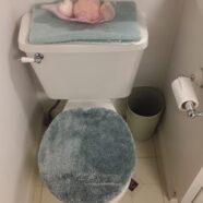 Toilet Refurbish 101, DIY Widow