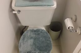 Toilet Refurbish 101, DIY Widow